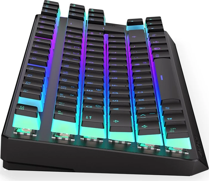 Endorfy Thock TKL Wireless Pudding, PBT, LEDs RGB, hot-swap, Kailh Box BROWN, USB/Bluetooth, DE