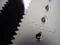 Noctua NH-D14 Vorschaubild