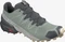 Salomon Speedcross 5 green milieu/ebony/pale khaki (Herren) Vorschaubild