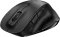 Genius Ergo 8230S Easy Ergonomic Wireless Silent Mouse schwarz, USB Vorschaubild