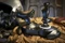 Thrustmaster T-Flight Hotas One Ace Combat 7: Skies Unknown (Xbox One/PC) Vorschaubild