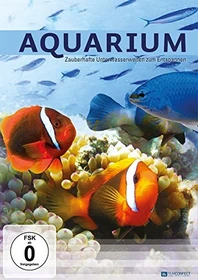 Ambiente: Aquarium - Zauberhafte Unterwasserwelten zum Entspannen (DVD)