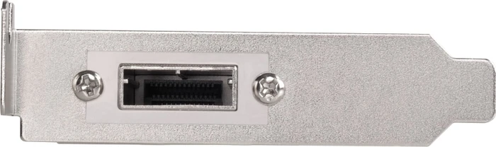 SilverStone SAS Slotblech, 1x SFF-8087 auf 1x SFF-8088, low profile