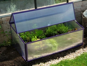 Vitavia Levana Frühbeet 95x55cm violett