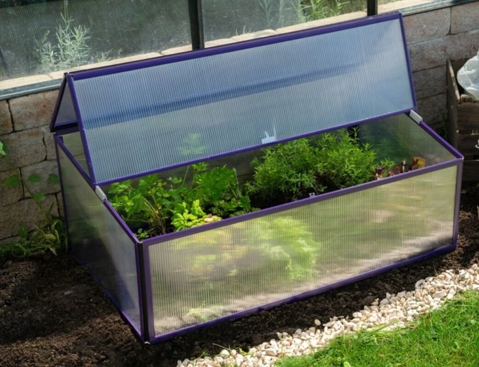 Vitavia Levana Frühbeet 95x55cm violett