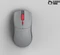 Glorious Series One PRO Wireless, Centauri - Forge, USB Vorschaubild