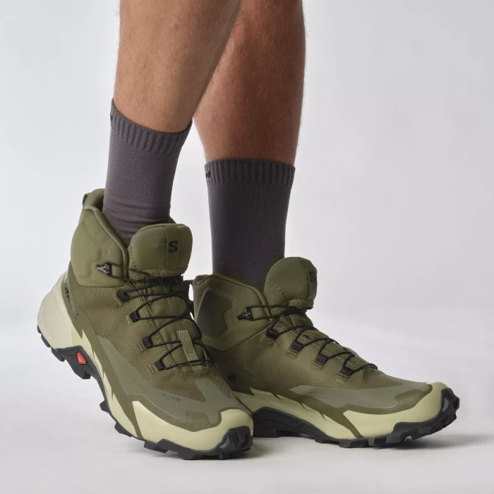 Salomon Cross Hike 2 Mid GTX olive night/moss grey/black (Herren)
