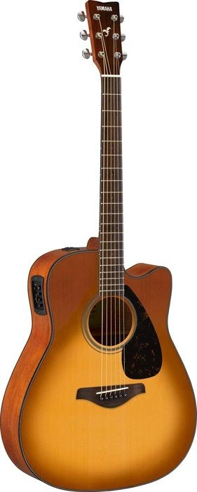Yamaha FGX800C