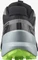 Salomon Speedcross 5 GTX black/quiet shade/green gecko (Herren) Vorschaubild