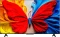 TCL 50S5L Vorschaubild