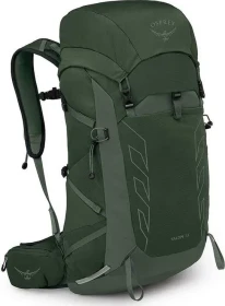 Osprey Talon 33 green canopy (Herren)