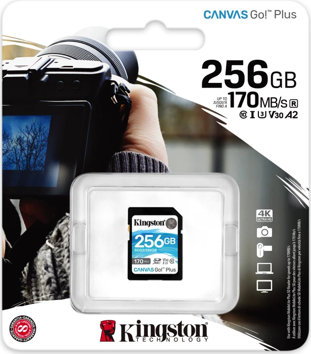 Kingston Canvas Go! Plus R170/W90 256GB, UHS-I U3, Class 10