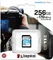 Kingston Canvas Go! Plus R170/W90 256GB, UHS-I U3, Class 10 Vorschaubild