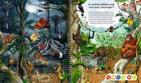 Ravensburger tiptoi Buch: Wieso? Weshalb? Warum? 19: Entdecke den Regenwald