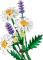 LEGO Botanicals - Gänseblümchen Vorschaubild
