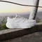 adidas Galaxy 8 cloud white/warm vanilla (Damen) Vorschaubild