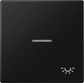 Jung Serie LS Wippe mit Lichtleiter Symbol Licht 1fach, graphitschwarz matt
