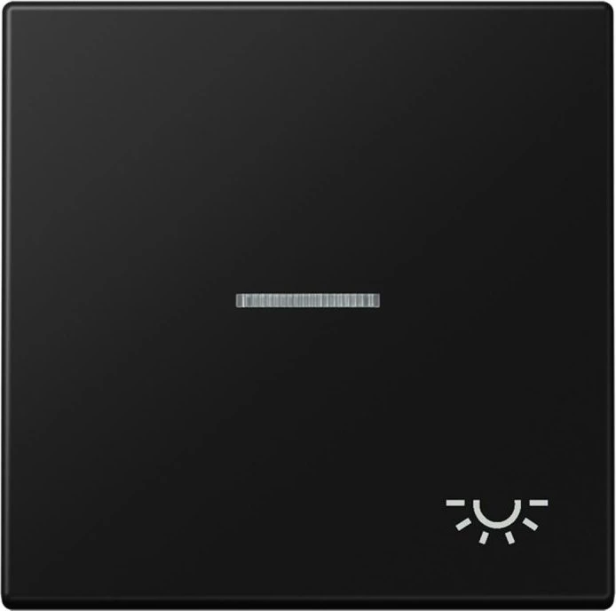 Jung Serie LS Wippe mit Lichtleiter Symbol Licht 1fach, graphitschwarz matt