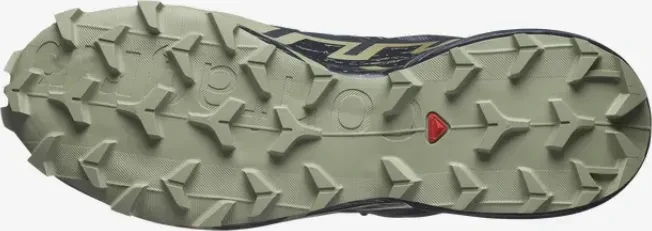 Salomon Speedcross 6 GTX grisaille/carbon/tea (Herren)