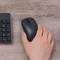 Xiaomi Wireless Mouse Lite, schwarz, USB Vorschaubild