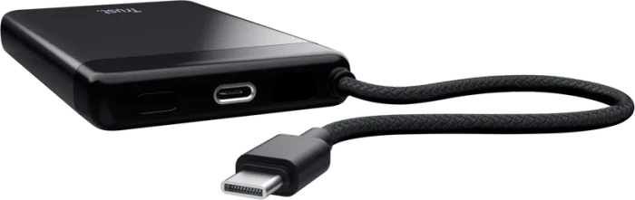 Trust Powerbank Fiera 10000mAh schwarz