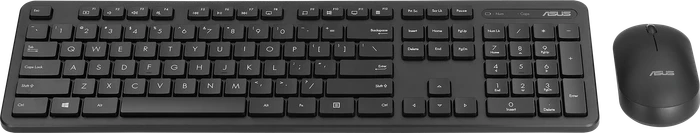 ASUS CW100 Wireless Keyboard and Mouse Set, schwarz, USB, DE
