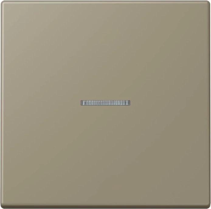 Jung HOME Taster 1-fach, ombre naturelle moyenne
