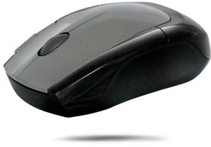 Wintech MR-1024 Wireless Notebook Mouse, USB