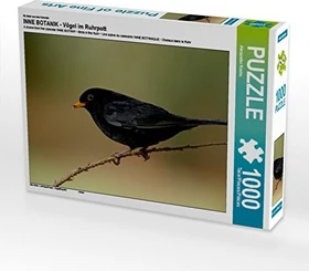 Calvendo Ein Motiv aus dem Kalender Inne Botanik - Vögel im Ruhrpott
