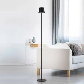 Paul Neuhaus Just Light Euria Akku Stehleuchte 125cm schwarz