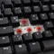 Ducky Tinker 75, schwarz/weiß, MX RGB RED, USB, DE Vorschaubild