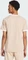 adidas Adicolor Classics 3-Streifen T-Shirt kurzarm magic beige (Herren) Vorschaubild