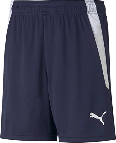 Puma TeamLIGA Shorts Trainingshose kurz peacoat/puma white (Junior)