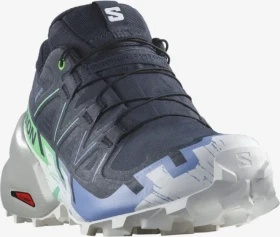Salomon Speedcross 6 Gore-Tex carbon/provence/white (Damen)