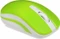 iBox Loriini Green grün/weiß, USB Vorschaubild