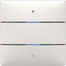 Theben LUXORliving iON2 KNX 2-fach, Überputz, Tastsensor