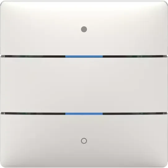 Theben LUXORliving iON2 KNX 2-fach, Überputz, Tastsensor