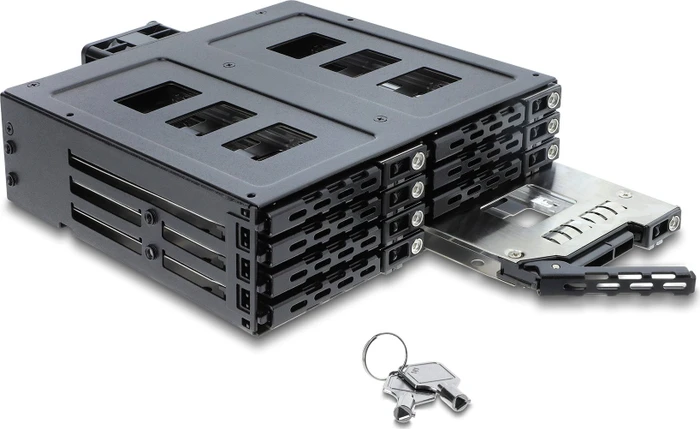 DeLOCK 5.25" Wechselrahmen, 8x 2.5" SATA/SAS