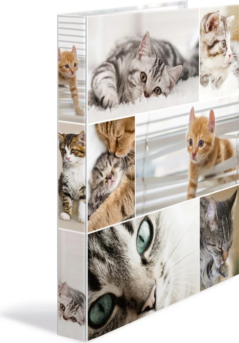 Herma 4D Ringbuch 4-Ring, 30mm, A4, Motiv Katzen