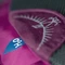 Osprey Daylite Plus 20 eggplant purple Vorschaubild