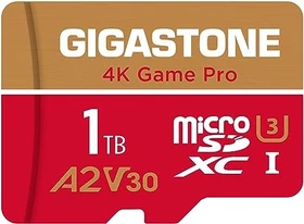 Gigastone 4K Game Pro R150/W140 1TB Kit, UHS-I U3, A2, Class 10