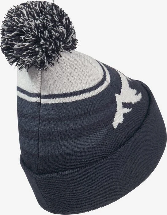Jack Wolfskin Stripy Pompom Beanie dark navy (Junior)