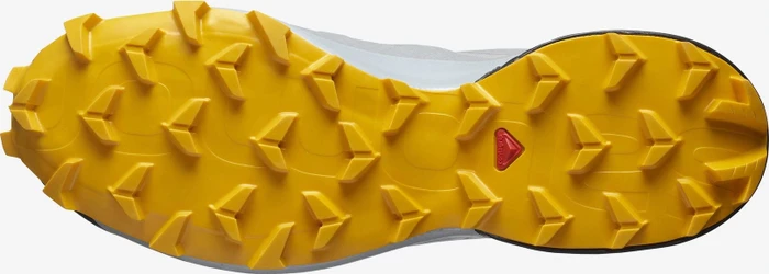 Salomon Speedcross 5 GTX monument/black/saffron (Herren)