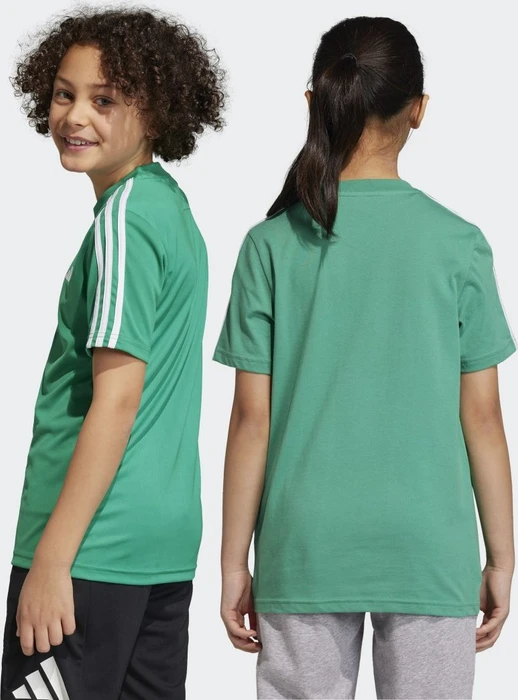 adidas Essentials 3-Streifen Cotton T-Shirt kurzarm semi court green/white (Junior)