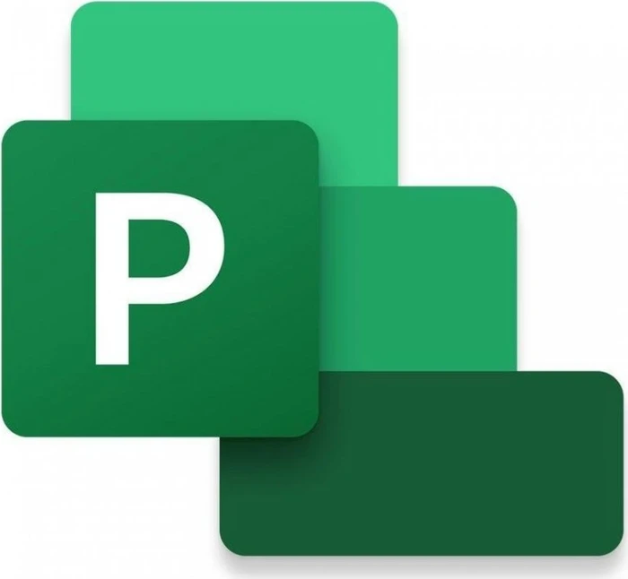 Microsoft Project Professional 2024, ESD (multilingual) (PC)