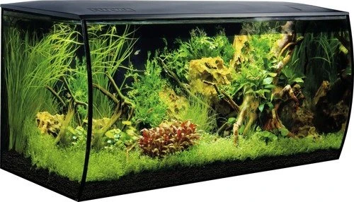 Fluval Flex 123 Aquarium weiß, (14996)