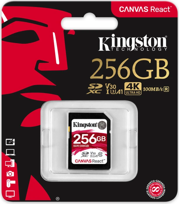 Kingston Canvas React R100/W80 256GB, UHS-I U3, Class 10