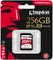 Kingston Canvas React R100/W80 256GB, UHS-I U3, Class 10 Vorschaubild