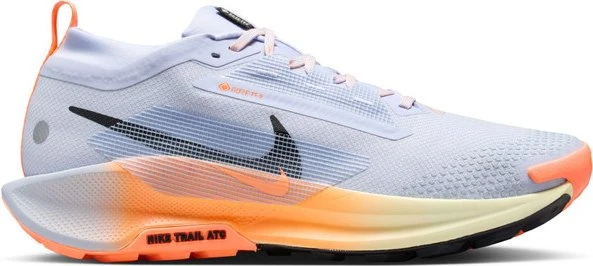 Nike Pegasus Trail 5 Gore-Tex (Herren)