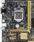 ASUS H81 Vorschaubild